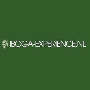 Ibogatreatment Iboga Experience